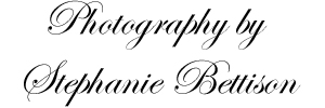Logo for Photography by Stephanie Bettison